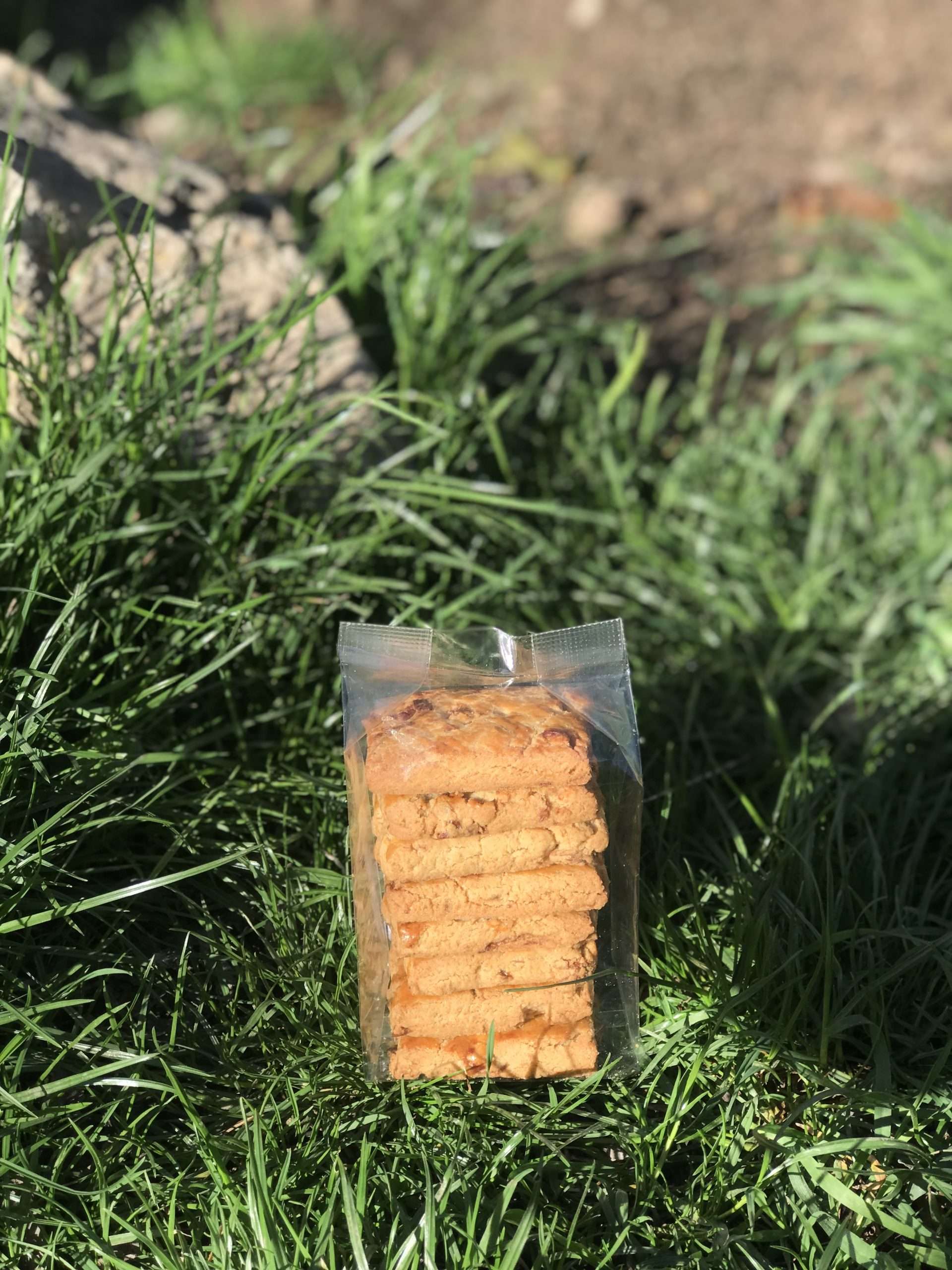 Karabuğday Üzümlü Kurabiye