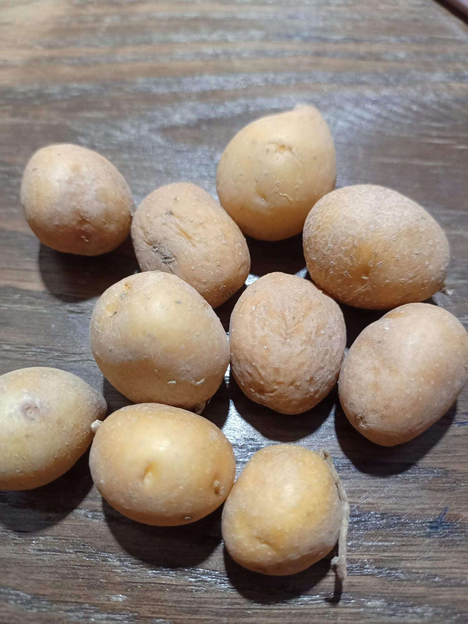 Minik Patates