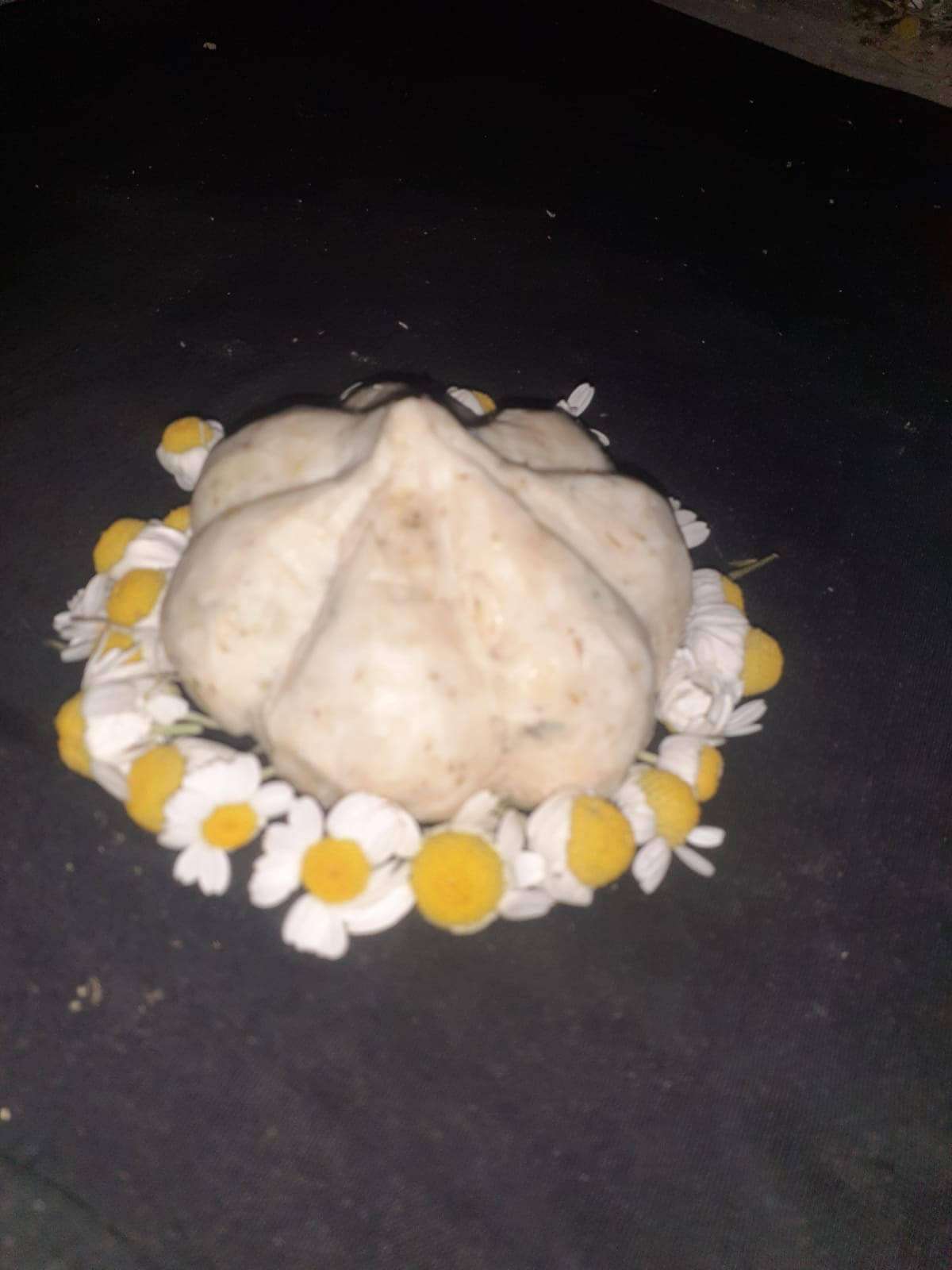 PAPATYA & SARIMSAK SABUNU