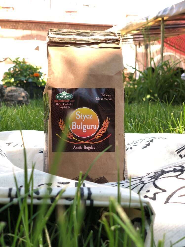 Siyez Bulguru